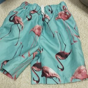Flamingo swim trunks